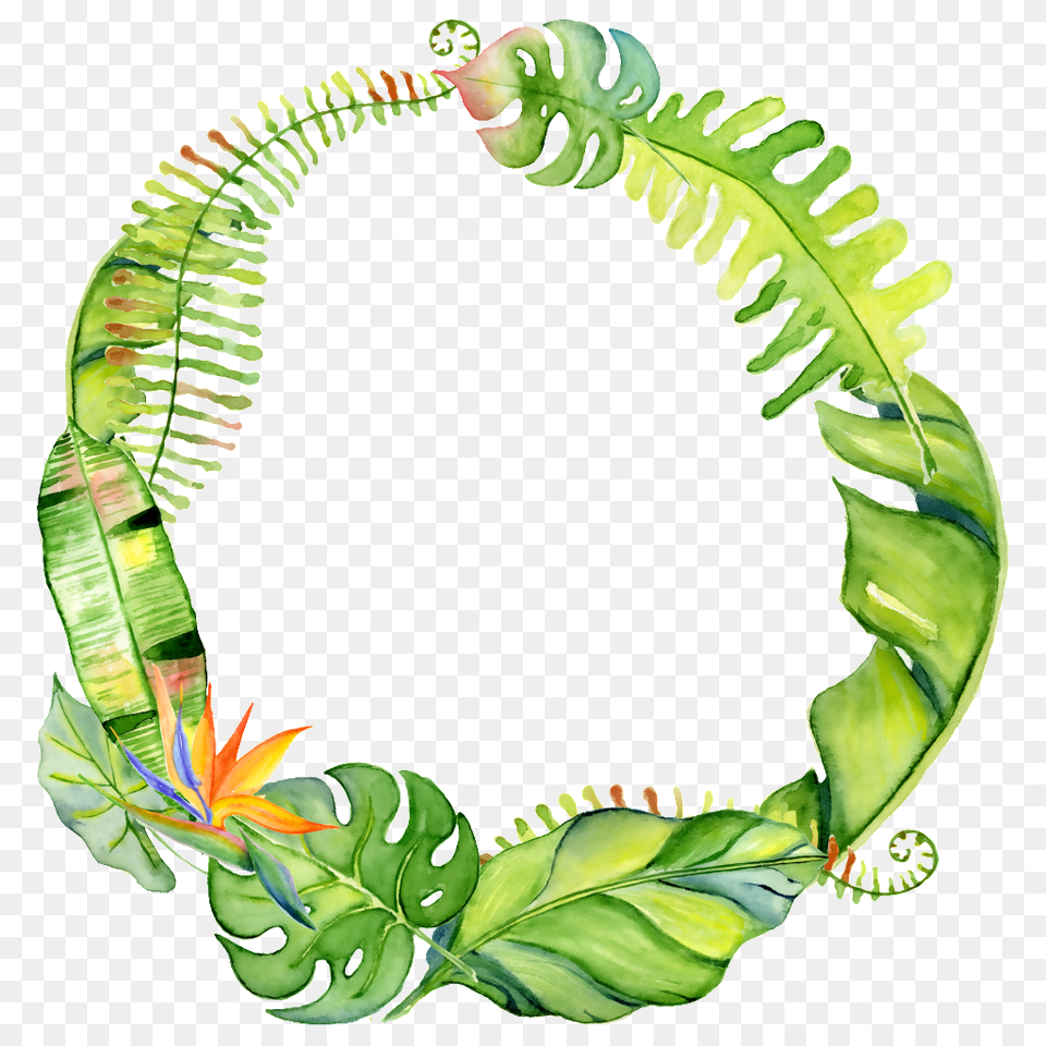 Hand Drawn Circle Transparent With Leaves, Green, Leaf, Plant, Vegetation Free Png Download