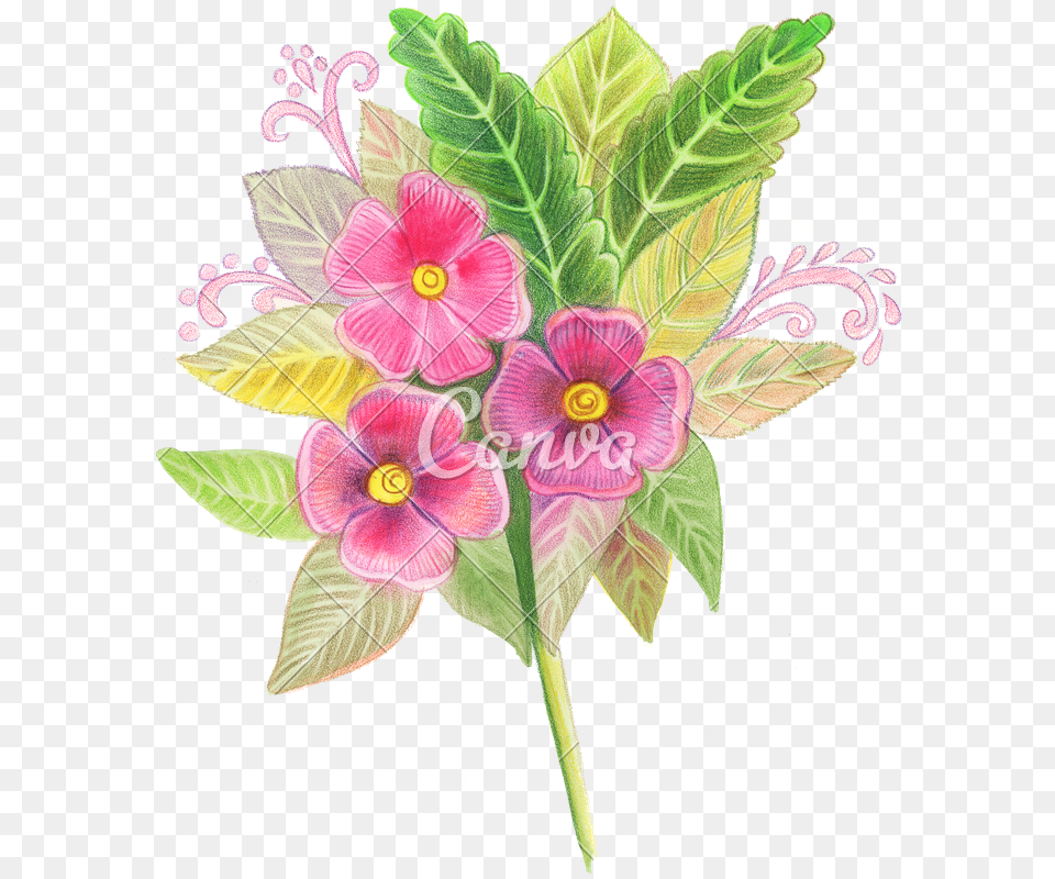 Hand Drawn Colored Pencils Of Red Flowers Periwinkle, Art, Floral Design, Flower, Graphics Png Image