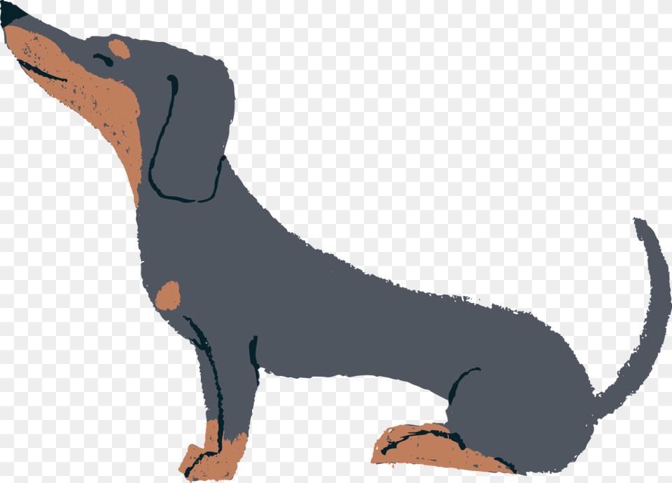 Hand Drawn Cute Cartoon Dog Vector Dog, Snout, Animal, Bear, Mammal Png Image