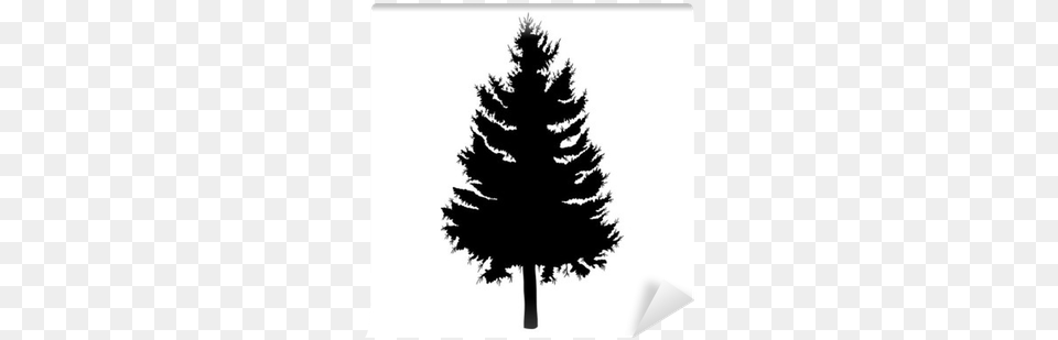 Hand Drawn Fir Tree Vector Illustration Pine, Plant, Silhouette, Stencil Free Png Download