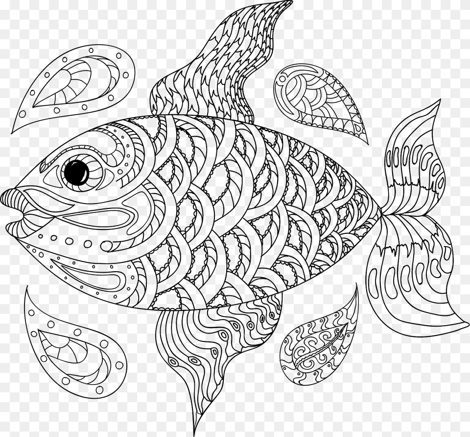 Hand Drawn Fish Clip Arts Line Art, Blackboard, Animal, Sea Life Free Transparent Png