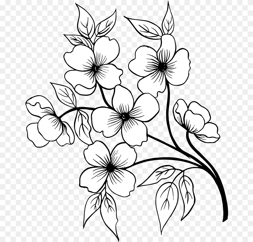 Hand Drawn Floral Bouquets Black And White Flower, Art, Floral Design, Graphics, Pattern Png Image