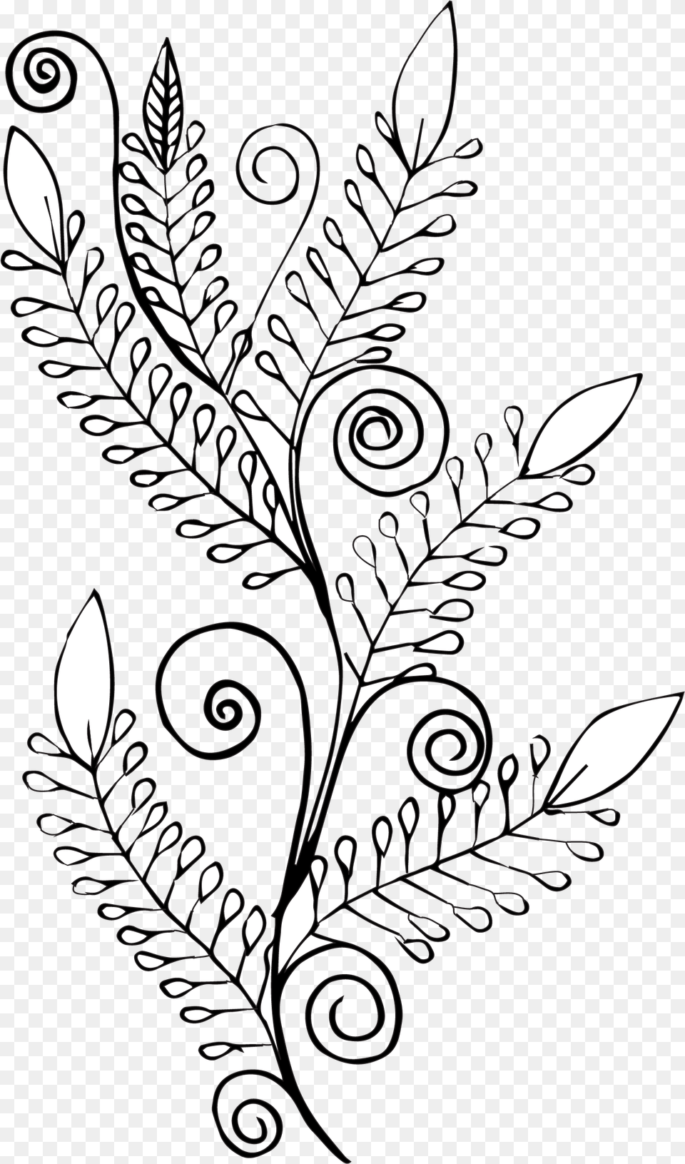 Hand Drawn Floral Konfest, Art, Floral Design, Graphics, Pattern Free Transparent Png