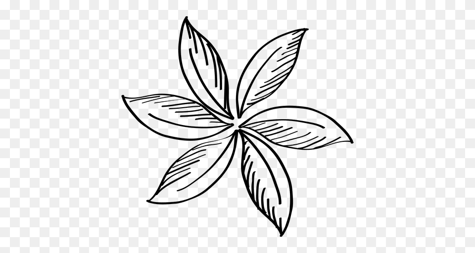 Hand Drawn Flower, Leaf, Pattern, Plant, Art Free Png