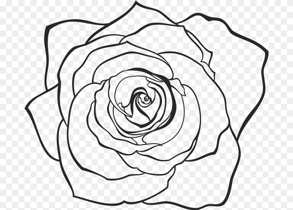 Hand Drawn Flowers, Flower, Plant, Rose, Art Free Png Download