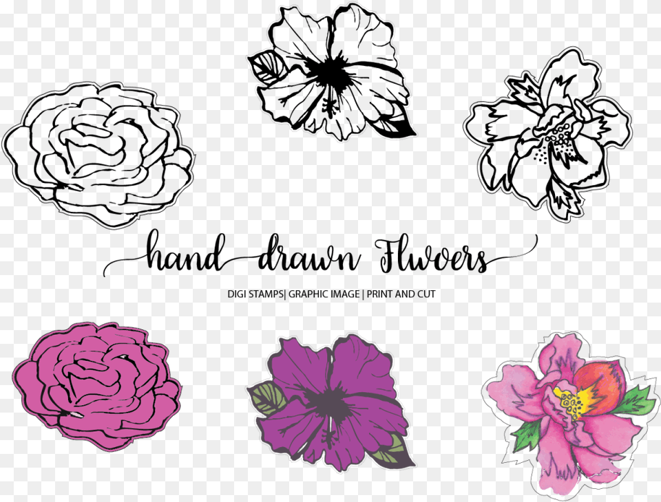 Hand Drawn Flowers Example Image Line Art, Flower, Plant, Petal, Purple Free Png Download