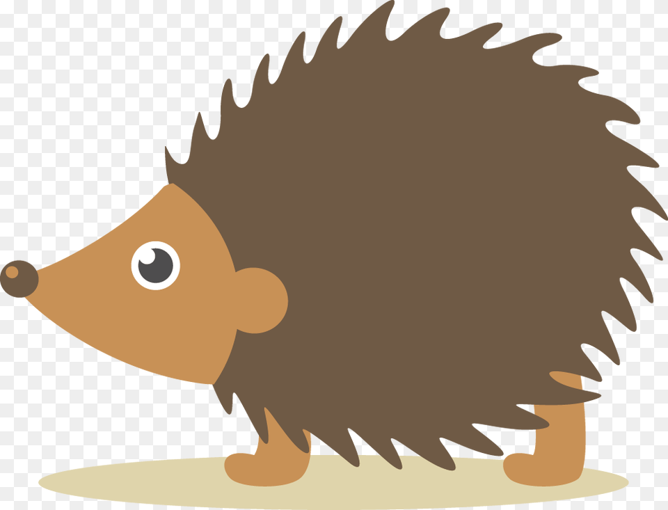Hand Drawn Forest Animals And Natural Animal Cartoon Transparent Hedgehog, Mammal Free Png