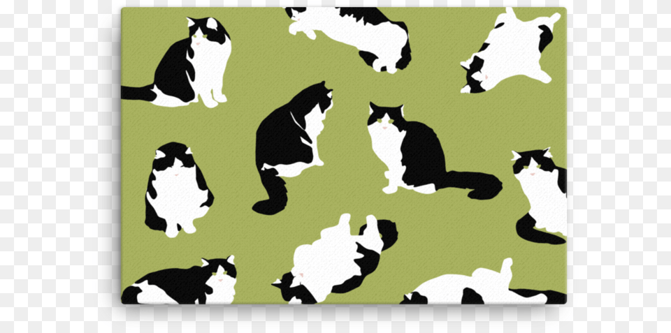 Hand Drawn Graphic Cat Canvas Tuxedo Cat Vector, Animal, Mammal, Pet, Home Decor Free Png Download