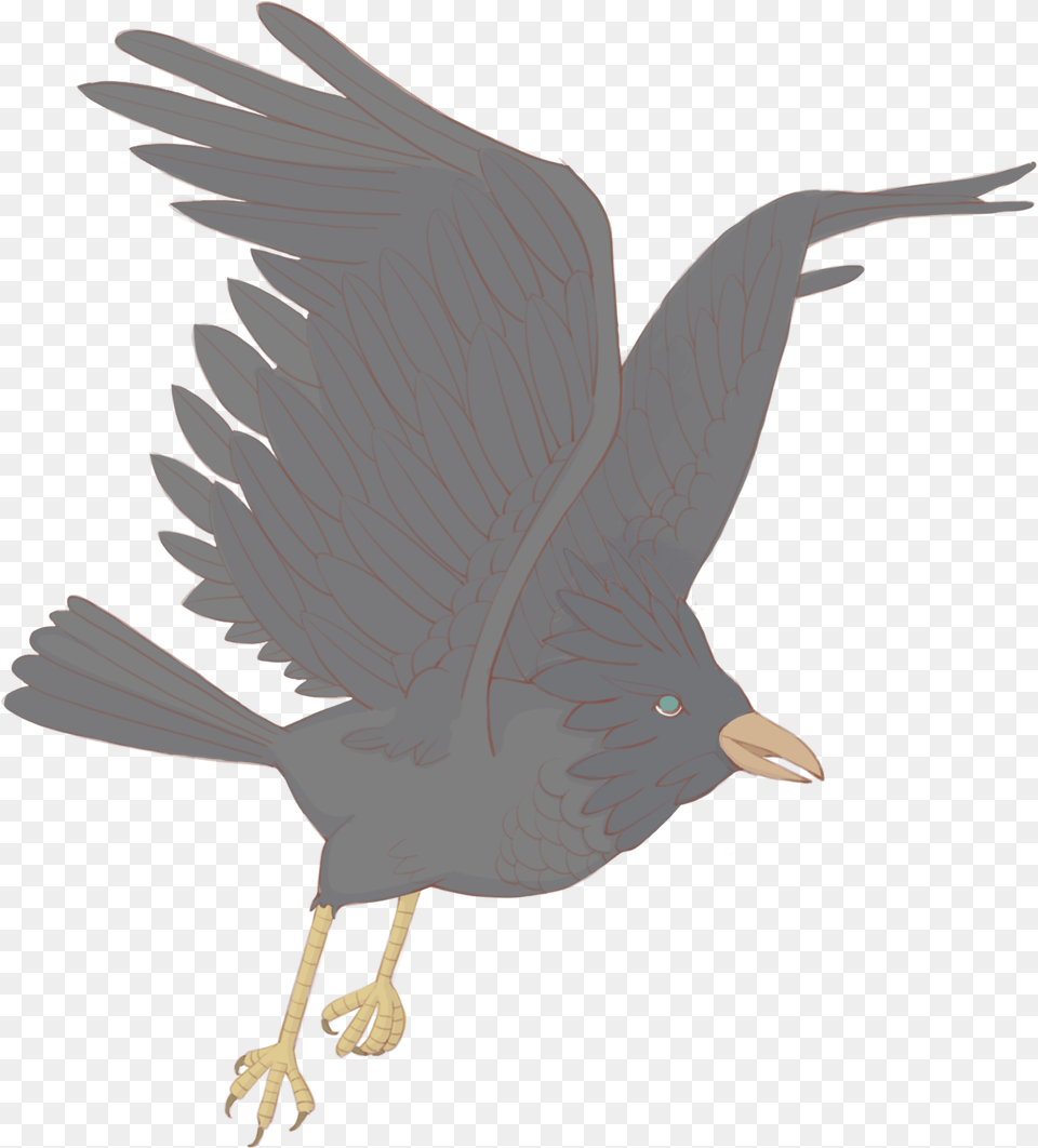 Hand Drawn Grey Crow Bird And Psd V Qu, Animal, Blackbird, Beak Free Transparent Png