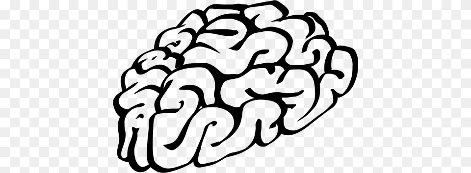 Hand Drawn Human Brain Vector Drawing, Gray Png