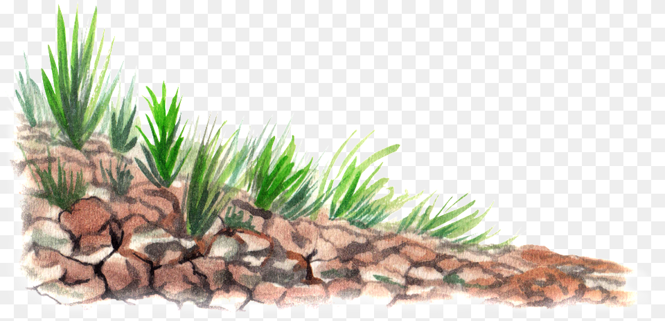 Hand Drawn Landscape Cartoon Transparent Watercolor Watercolor Painting, Agavaceae, Plant, Grass Free Png