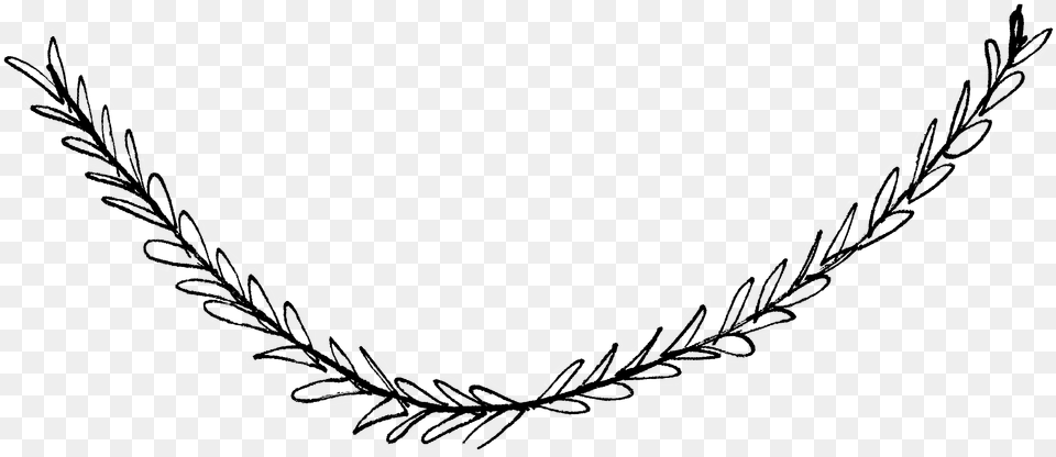 Hand Drawn Laurel, Accessories, Jewelry, Necklace, Plant Free Transparent Png