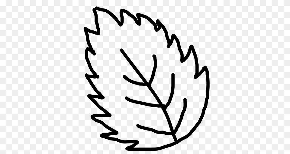 Hand Drawn Leaf Outline, Plant, Tree Free Transparent Png