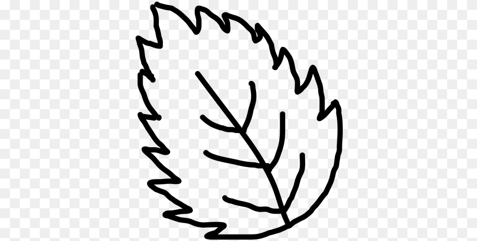 Hand Drawn Leaf Outline Transparent Clip Art, Gray Png Image