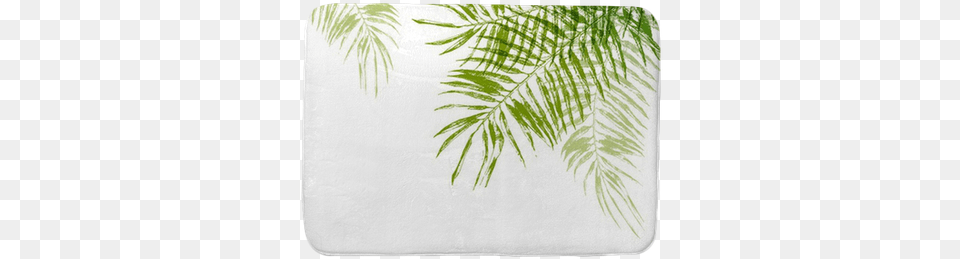 Hand Drawn Palm Tree Leaves Bath Mat U2022 Pixers We Live To Change Background, Leaf, Plant, Home Decor, Vegetation Free Transparent Png