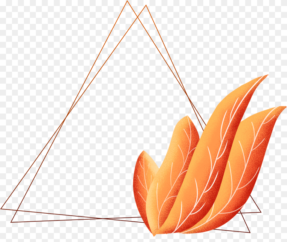 Hand Drawn Plants Borders Coral Orange Leaves And Illustration, Leaf, Plant, Art, Graphics Png