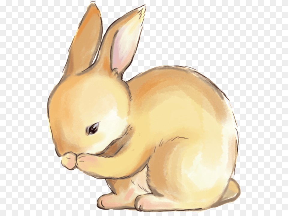 Hand Drawn Rabbit Hare, Animal, Mammal, Face, Head Free Png Download