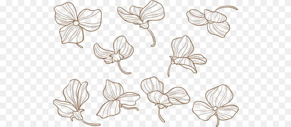 Hand Drawn Sweet Pea Flowers Stock Images Sweet Pea Flower Vector, Pattern, Knot Free Transparent Png