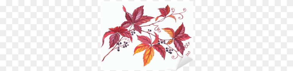 Hand Drawn Watercolor Colorful And Vibrant Branch Of Leaf, Plant, Art, Floral Design, Graphics Free Png Download