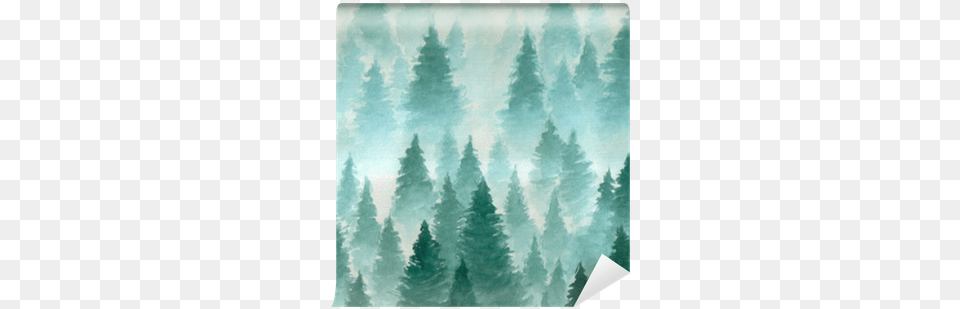 Hand Drawn Watercolor Illustration Watercolor Forest Background, Pine, Tree, Fir, Plant Free Png