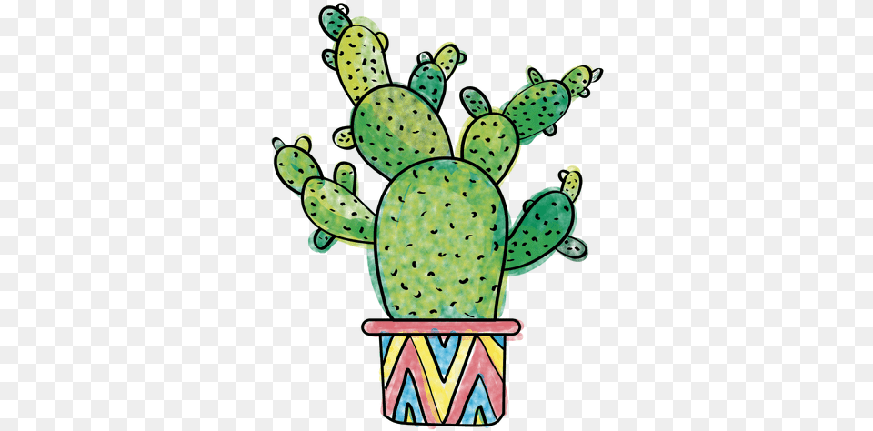 Hand Drawn Watercolor Multiple Cactus Images Watercolor Transparent Cactus, Plant Free Png Download