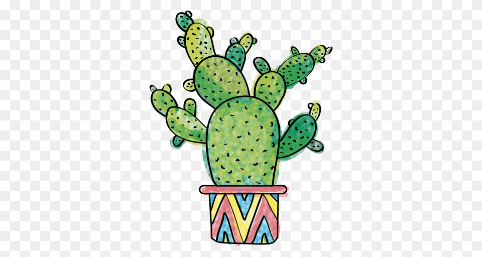 Hand Drawn Watercolor Multiple Cactus, Plant Free Png Download