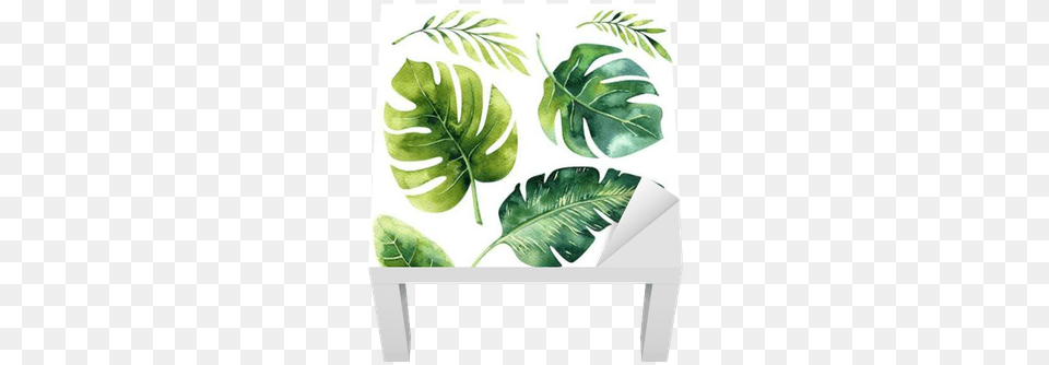 Hand Drawn Watercolor Tropical Plants Set Brazilian Tropical Plant, Leaf Free Png