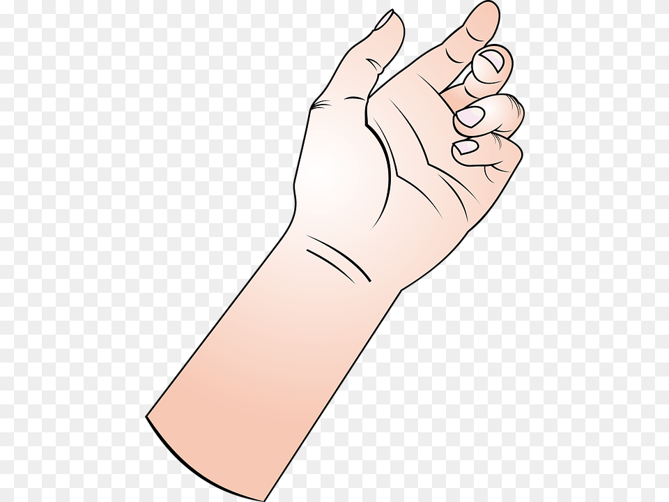 Hand Fingers Forearm Arm Thumb Finger Human Hand Holding Something Cartoon, Body Part, Person, Wrist, Adult Png Image