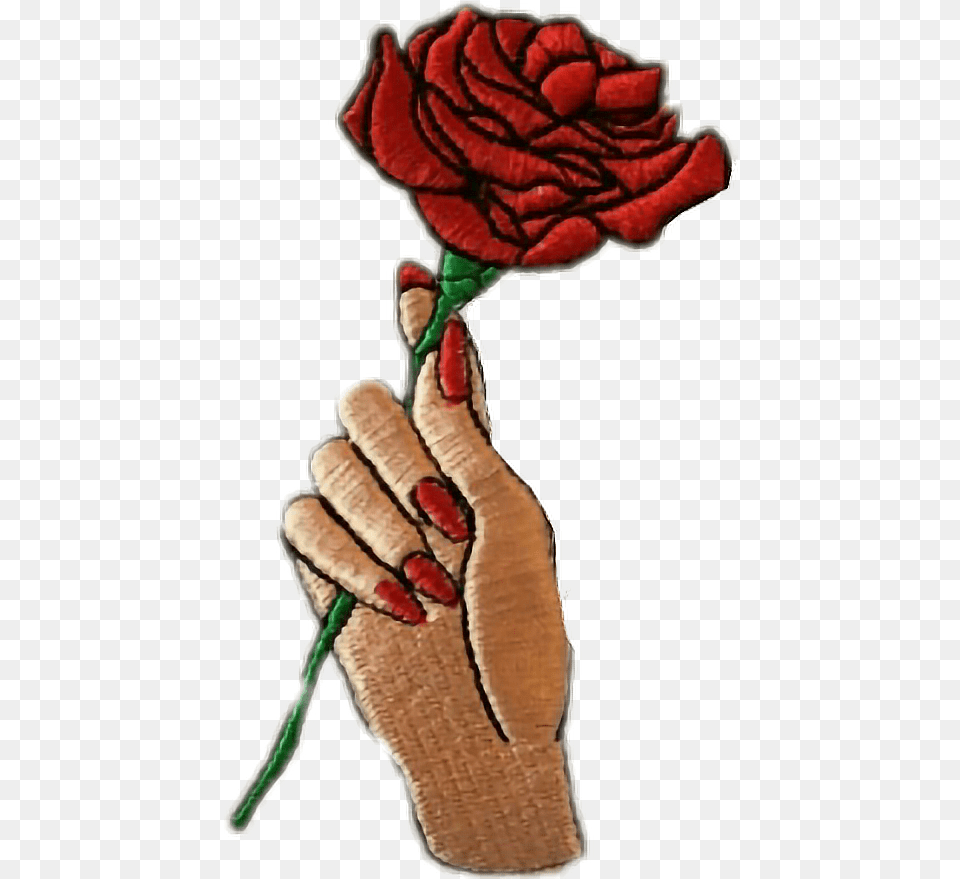 Hand Flower Draw A Hand Holding A Rose, Plant, Carnation, Body Part, Person Free Png