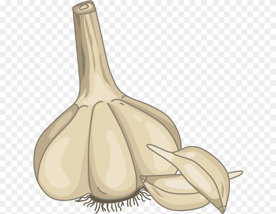 Hand Garlic, Food, Produce, Plant, Vegetable Free Png