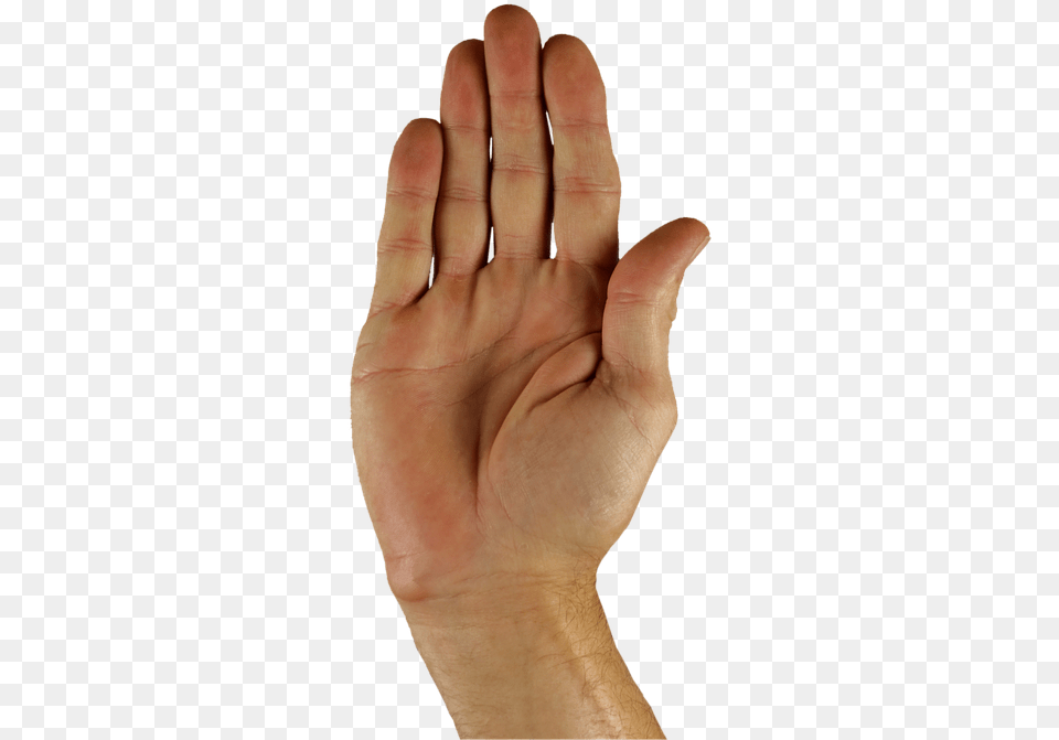 Hand Halt, Body Part, Finger, Person, Wrist Png Image