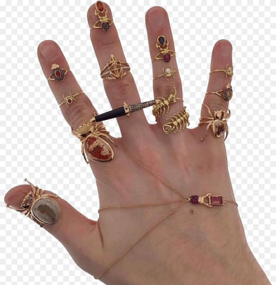 Hand Hands Jewelry Rings Bugs Aesthetic Hand With Rings, Body Part, Finger, Person, Accessories Png Image