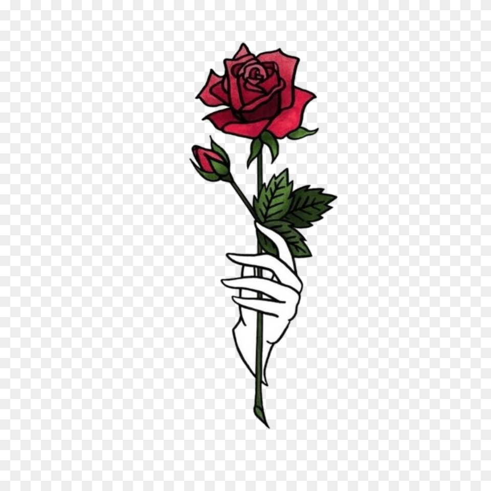 Hand Hands Tumblr Aesthetic Flower, Plant, Rose, Art Free Png Download