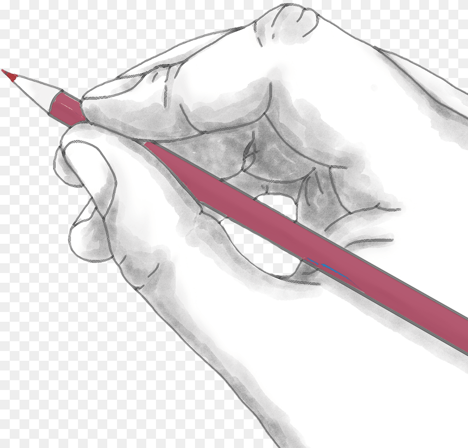 Hand Holding A Red Pencil Download Gambar Tangan Menulis, Animal, Fish, Sea Life, Shark Png Image