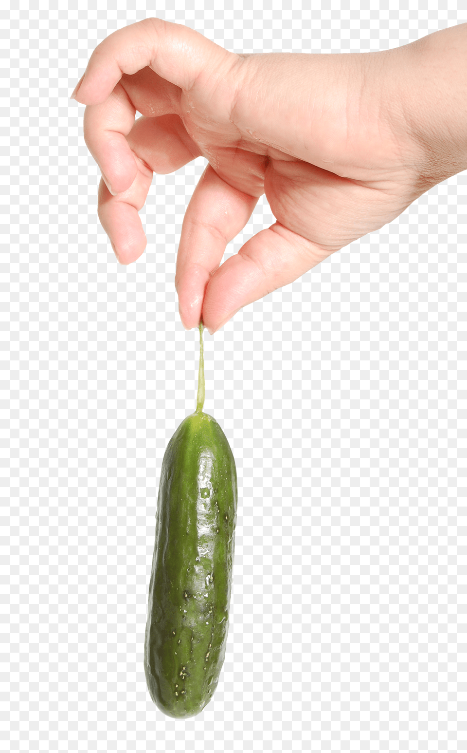 Hand Holding Cucumber, Food, Plant, Produce, Vegetable Free Png Download