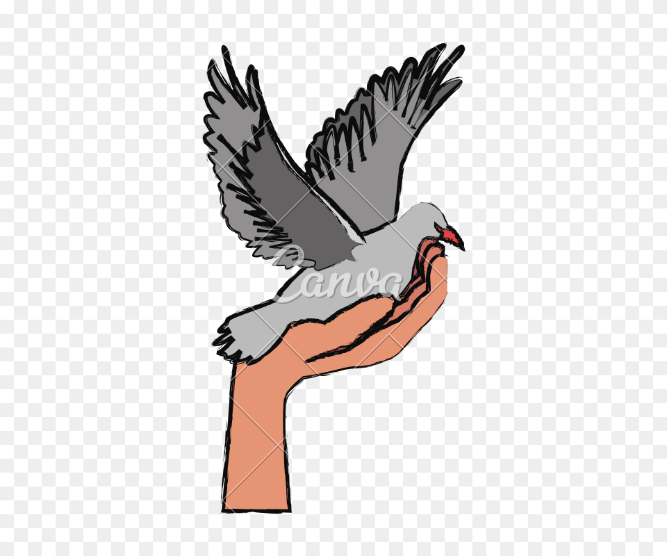 Hand Holding Dove Flying International Day Of Peace, Person, Animal, Bird, Pigeon Free Transparent Png