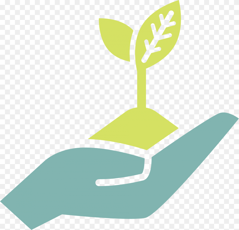 Hand Holding Green Sprout Open Hands Illustration, Leaf, Plant Png Image