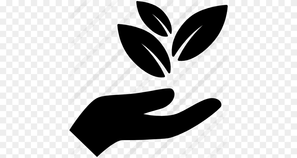 Hand Holding Leaves, Gray Png