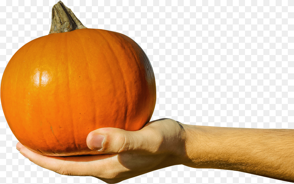 Hand Holding Orange Pumpkin Image Hand Holding A Pumpkin, Body Part, Produce, Plant, Person Free Png