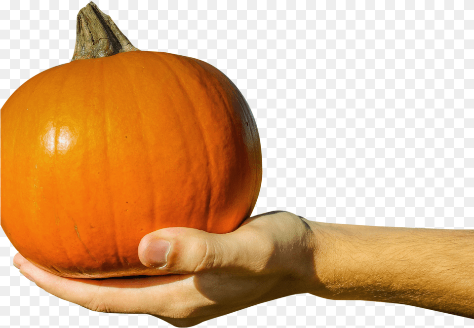 Hand Holding Orange Pumpkin Image Hand Holding A Pumpkin, Vegetable, Produce, Plant, Person Free Png Download
