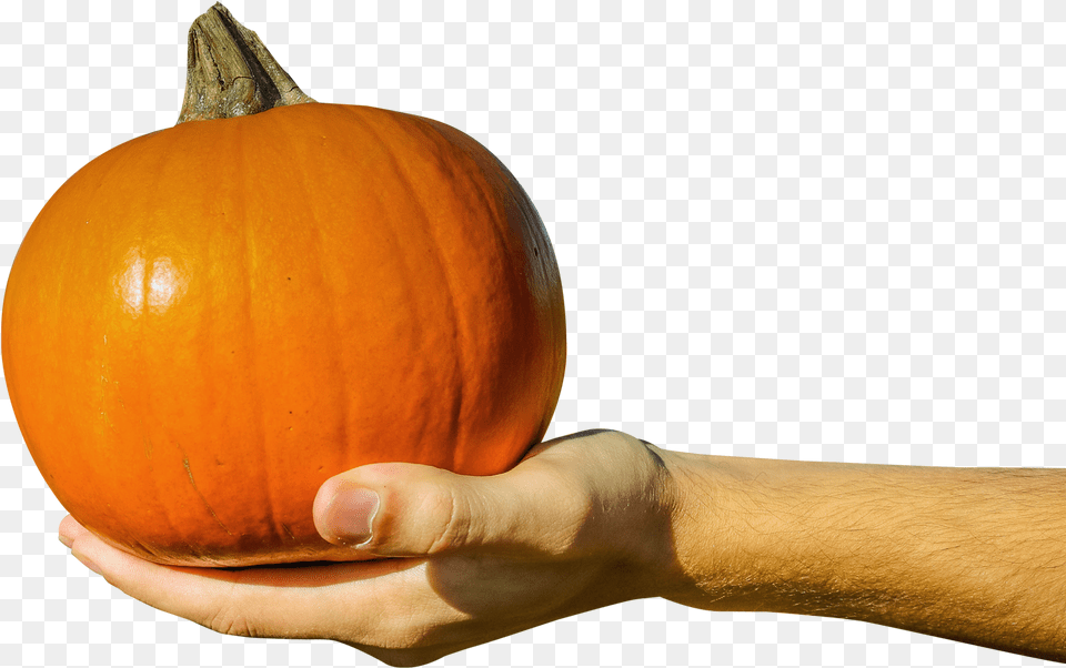 Hand Holding Orange Pumpkin Image Pngpix Holding Pumpkin, Body Part, Produce, Plant, Person Free Png