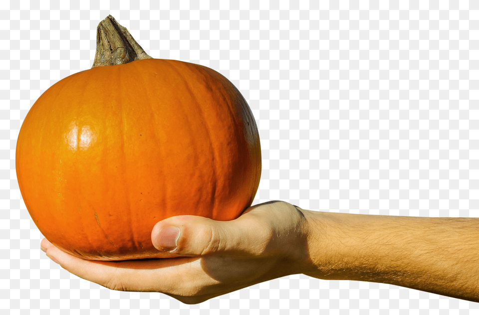 Hand Holding Orange Pumpkin Transparent Best Stock, Vegetable, Produce, Plant, Food Png Image