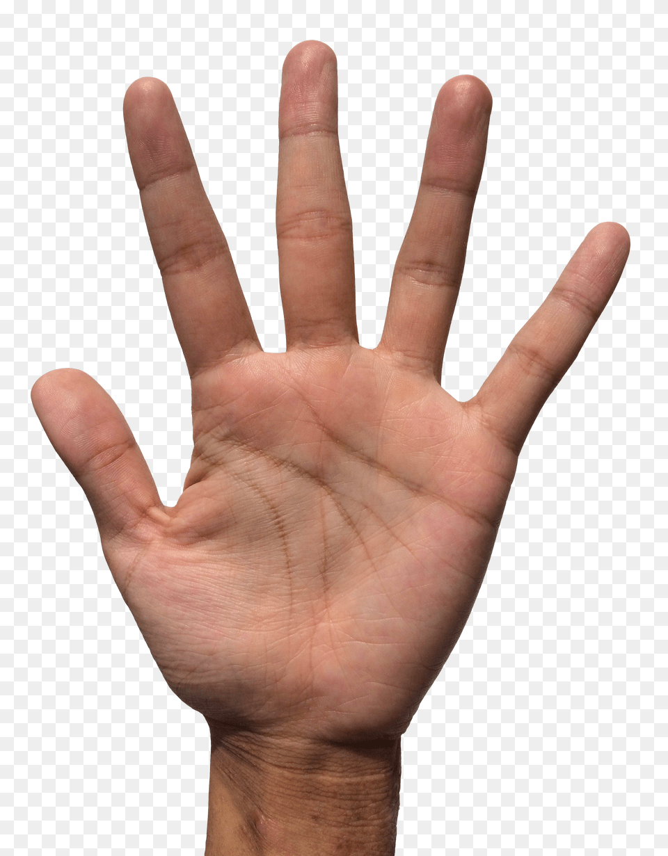 Hand Holding Smartphone Image, Body Part, Finger, Person, Wrist Free Png