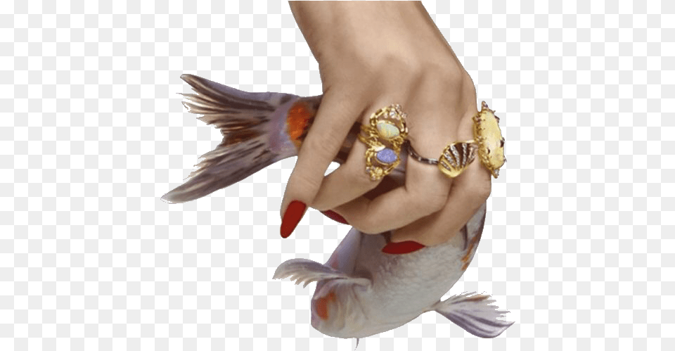 Hand I Think I Like The Aesthetic Tags Aesthetic Feathers, Accessories, Jewelry Png