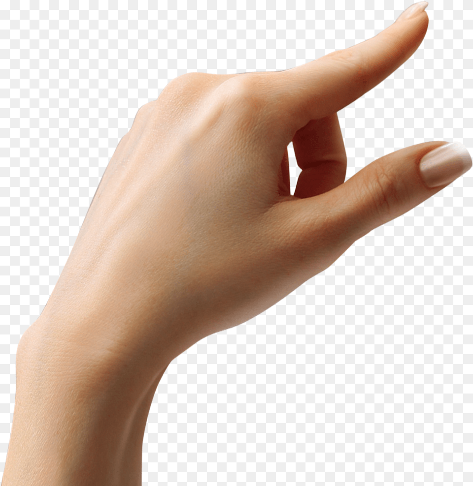 Hand Image Download Searchpng Hand Tap, Body Part, Finger, Person, Wrist Free Transparent Png