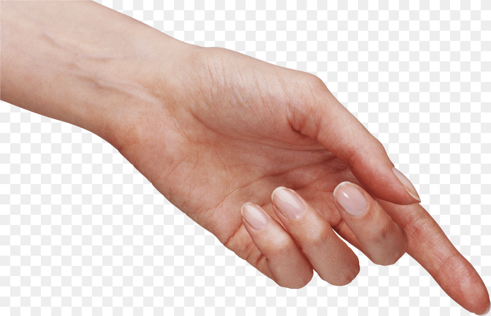 Hand Image With No Background Hand Free Transparent Png