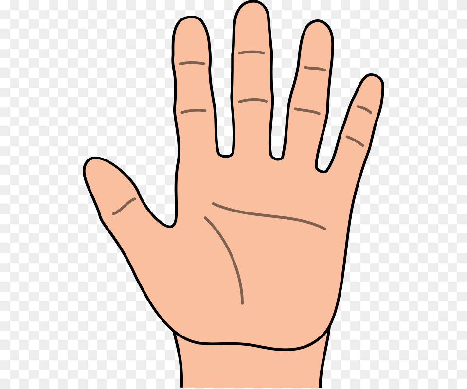 Hand Images Clip Art, Body Part, Clothing, Finger, Glove Free Transparent Png