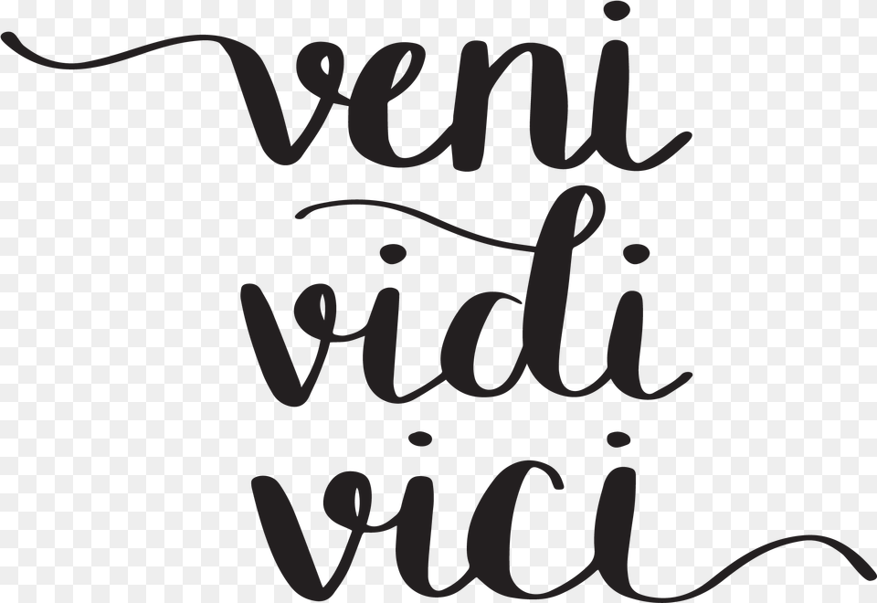 Hand Lettered Veni Vidi Veni Vidi Vici, Text, Calligraphy, Handwriting Free Png Download