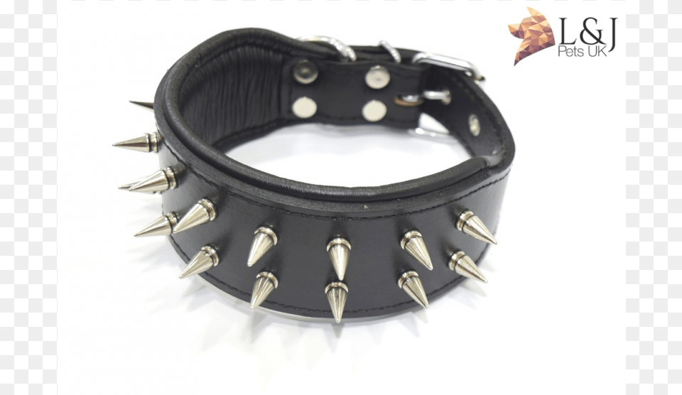 Hand Made Dog Collar Spiked French Bulldog Frenchie Dog, Accessories Png Image
