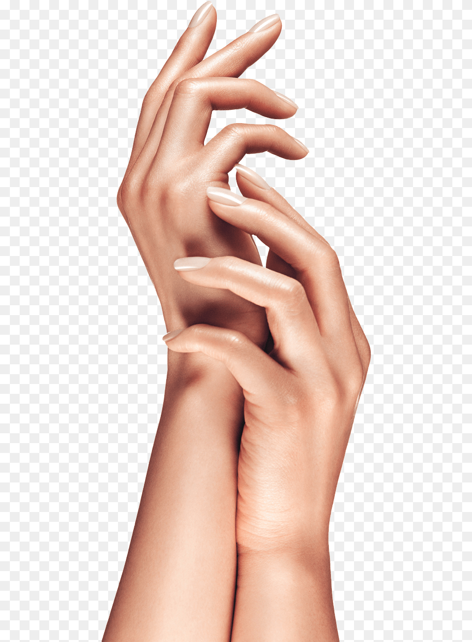 Hand Model, Adult, Woman, Person, Wrist Free Png